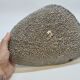 Decorative plate in glazed ceramic plaster? Prehistoric hunting décor