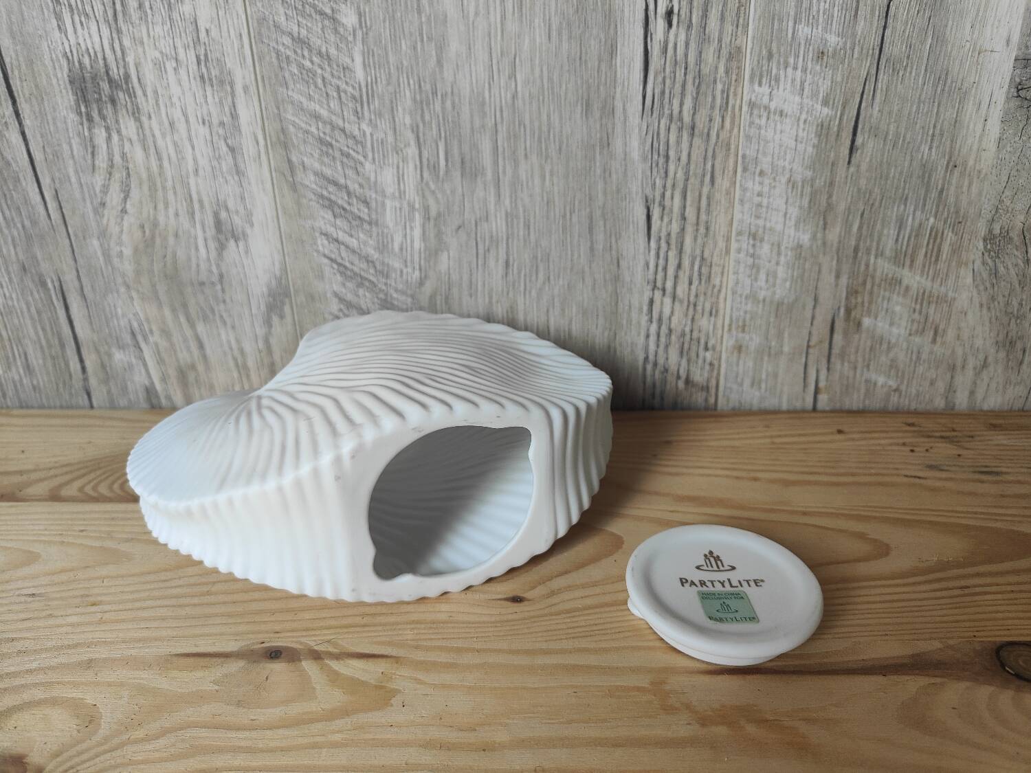 Shell tea light holder