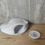 Shell tea light holder