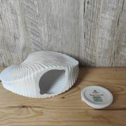 Shell tea light holder