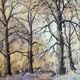 John Straw's numbered painting