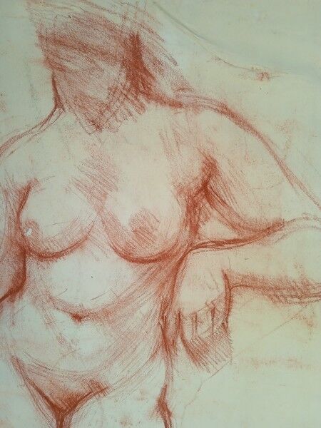 Drawing sanguine study nude female 67/50cm 1950
