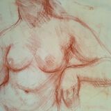 Drawing sanguine study nude female 67/50cm 1950