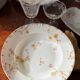 Rare service de table en porcelaine Haviland fin 19eme