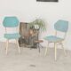 Lot de 2 chaises Tchécoslovaque
TON Bystrice Thonet Blanche et bleue