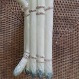 Bubble asparagus parlor