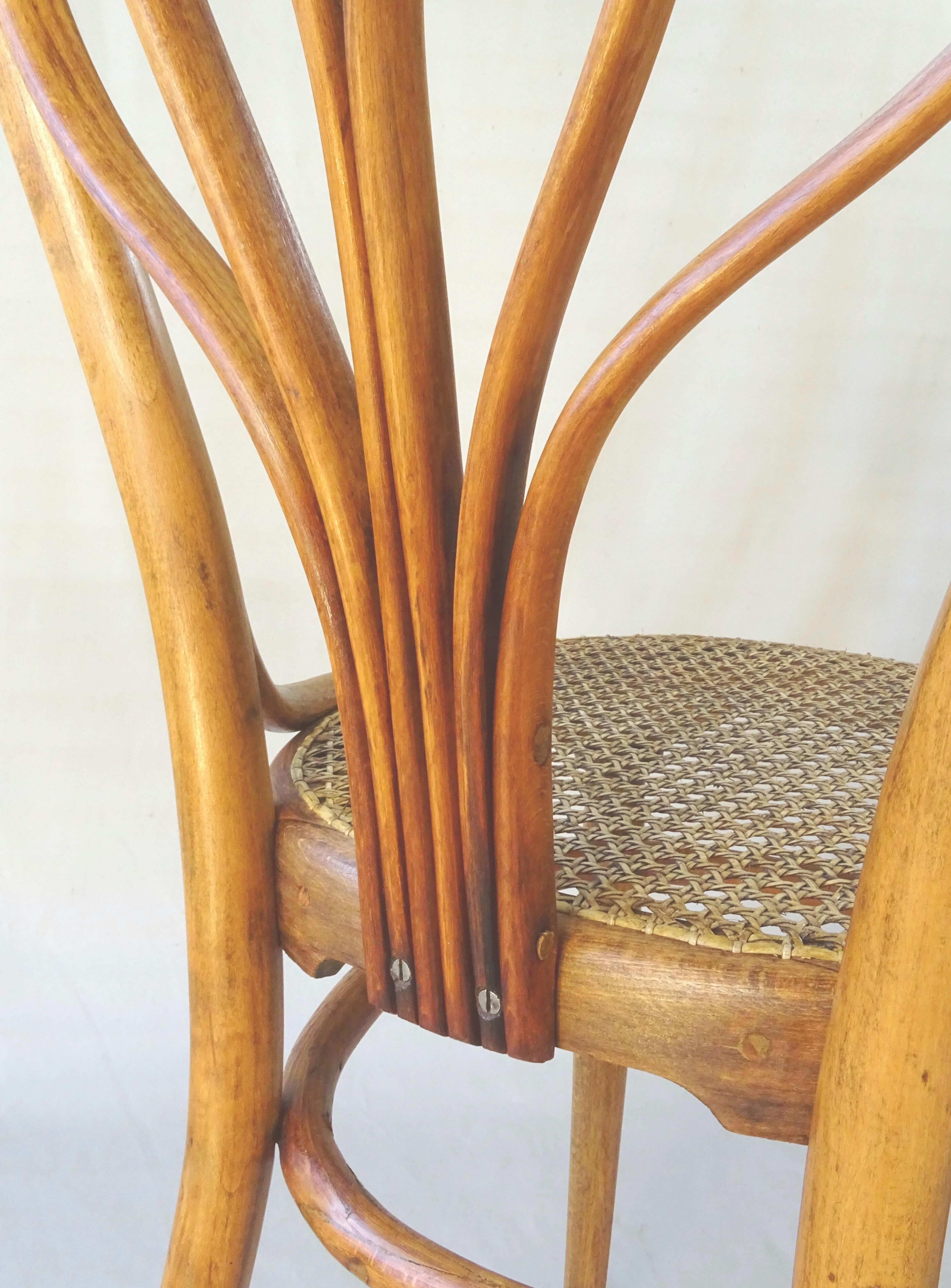 Bistrot de Vienne, chair Thonet N°25 Ca, 1880