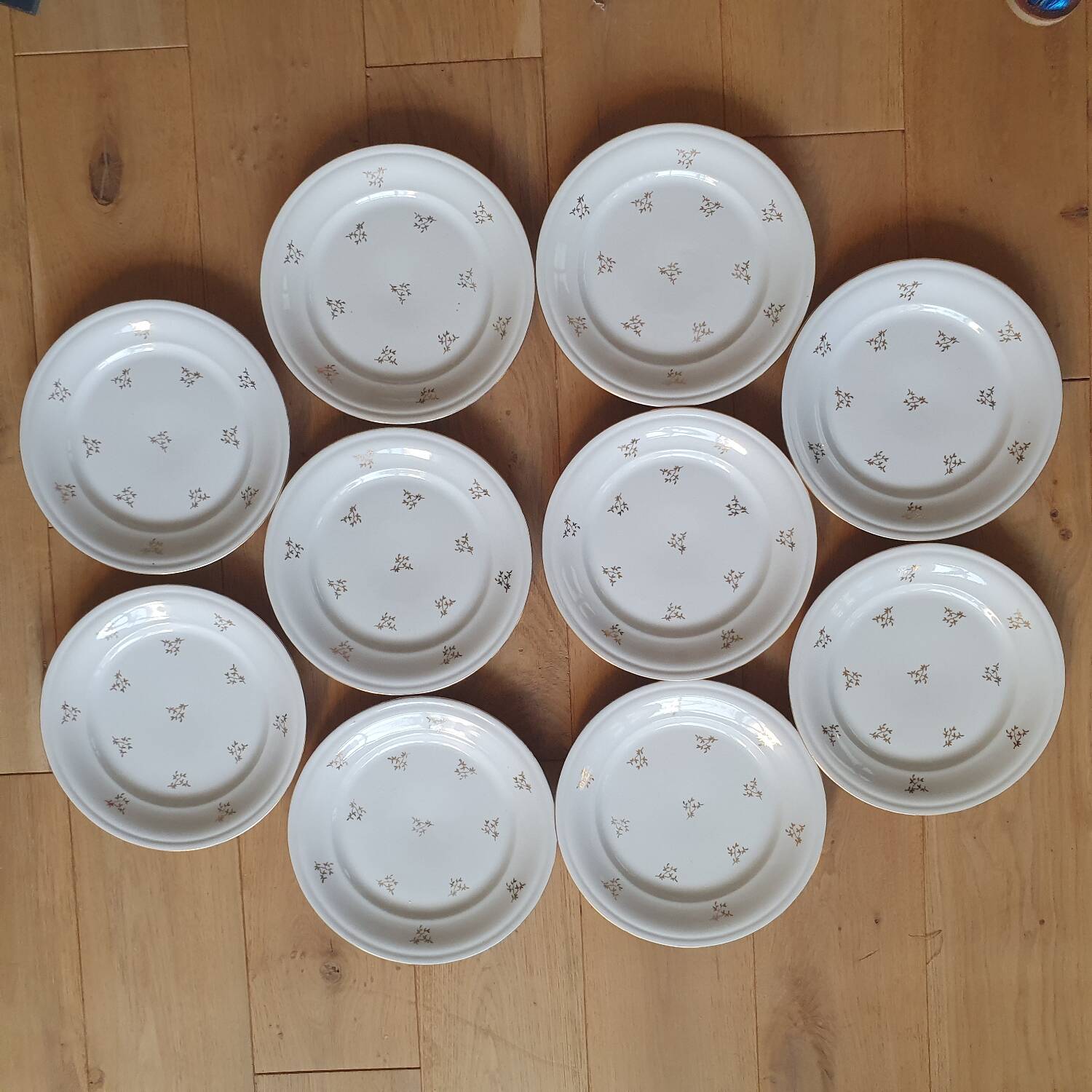 10 J&Cie porcelain plates