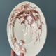Lot de 2 assiettes Terre De Fer service « Flore »