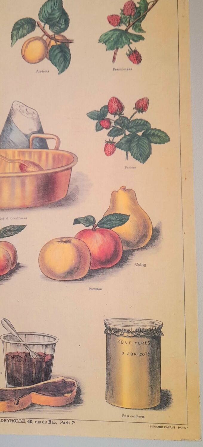 Deyrolles poster 'jams'