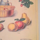 Deyrolles poster 'jams'