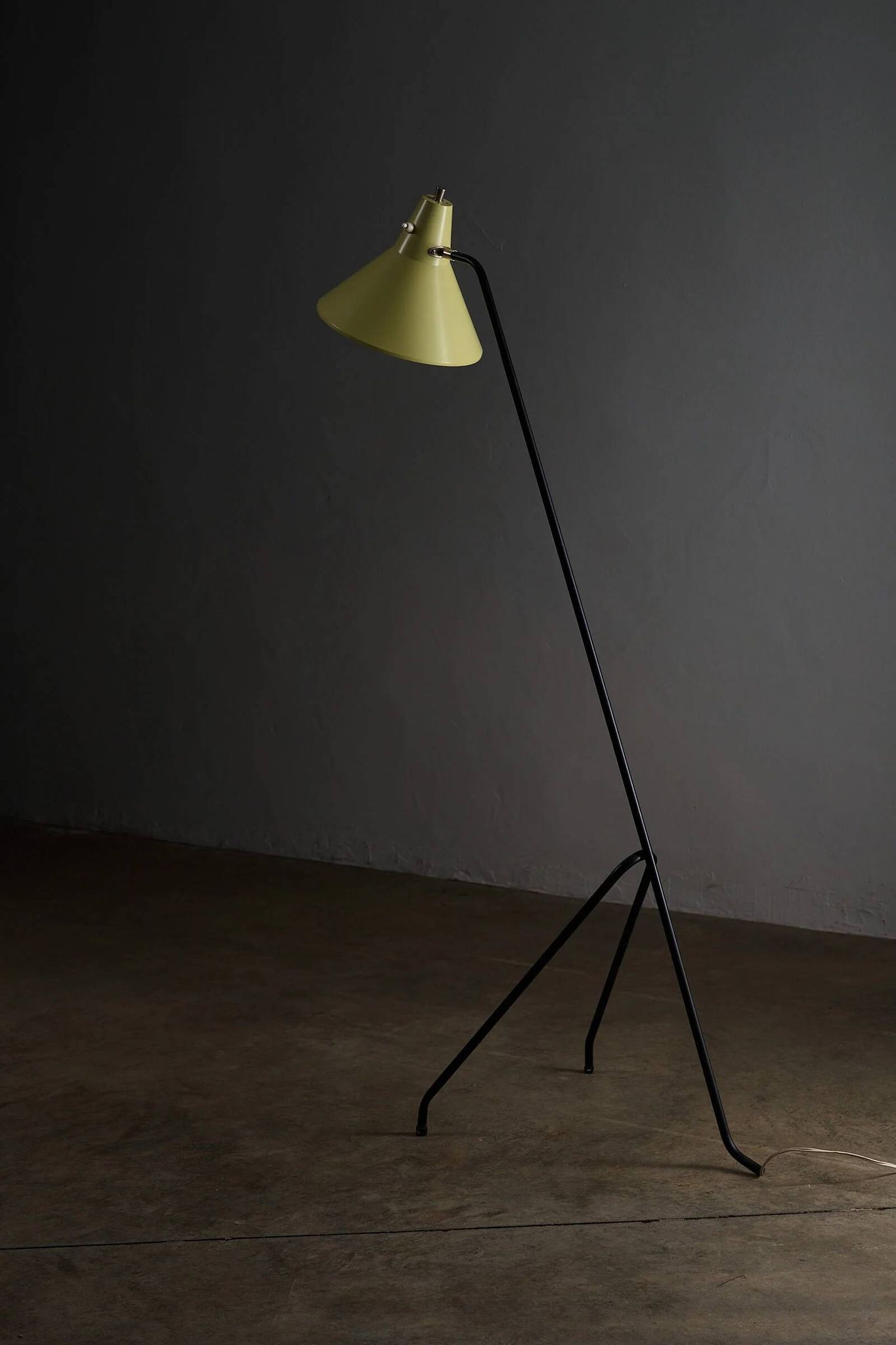Grasshopper tripod floor lamp by Willem van Doorn