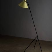 Grasshopper tripod floor lamp by Willem van Doorn