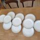 Set de 10 assiettes Sarreguemines 1900 faience U&C Nobilis