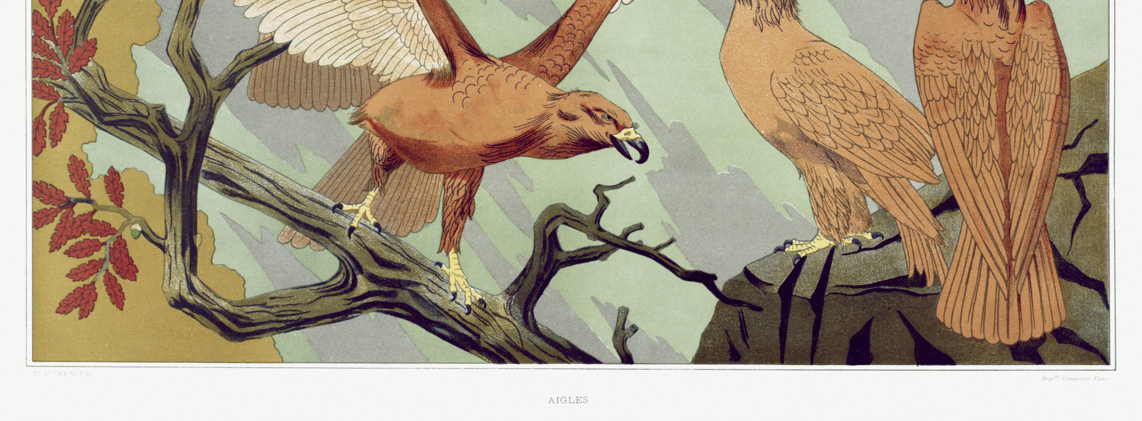 Poster “Eagles”, after an Art Nouveau lithograph from 1897