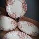 Set of 6 flat plates Red Dolphin 1920