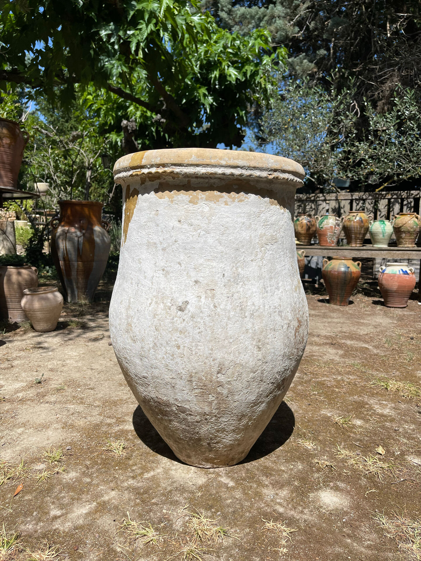 Ancient terracotta pottery jar
