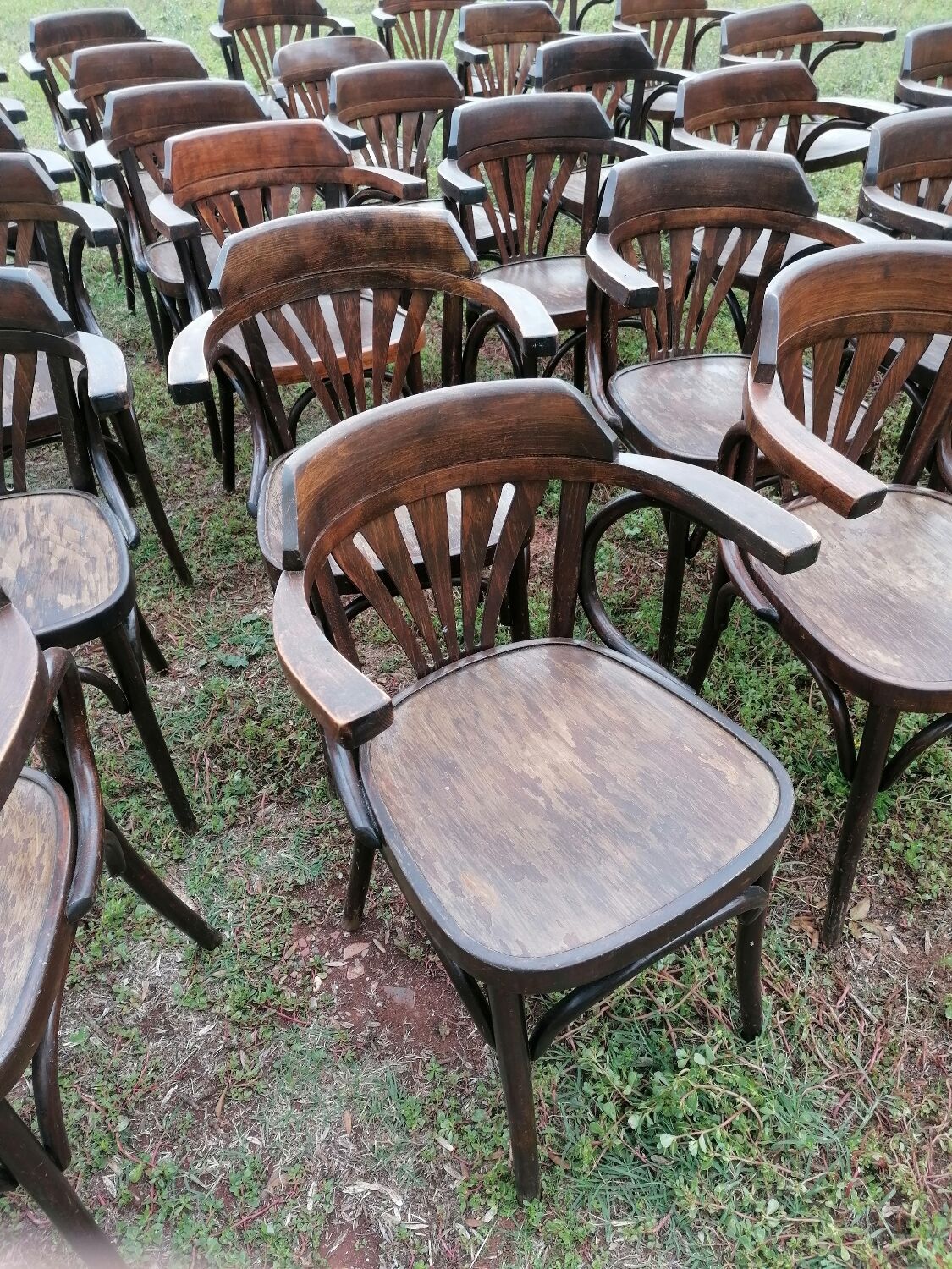 Set of 30 vintage bistro armchairs