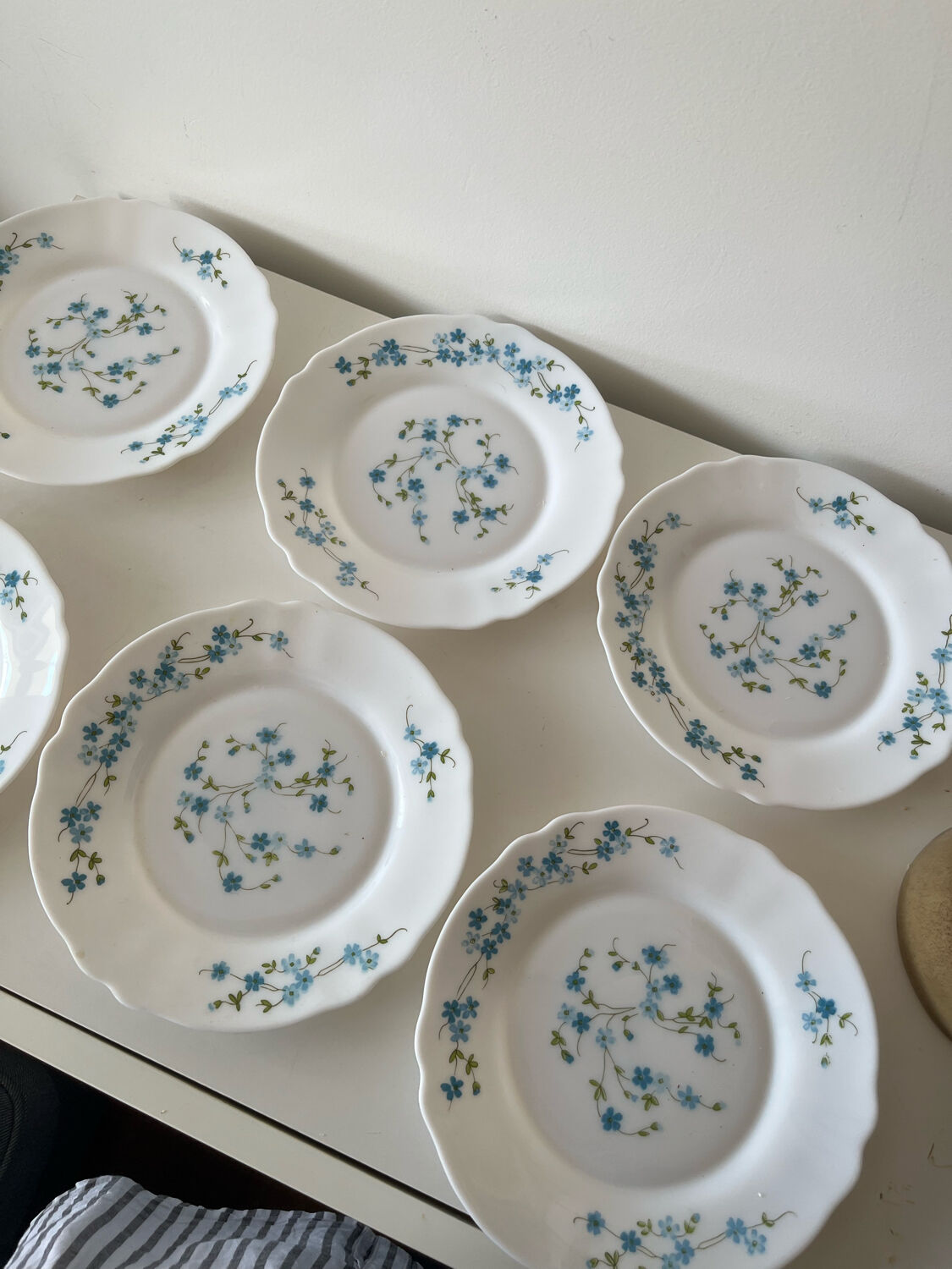 Myosotis dessert plates