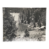 Vintage photograph of a forest by the lake by Bernard Darot, 20th century