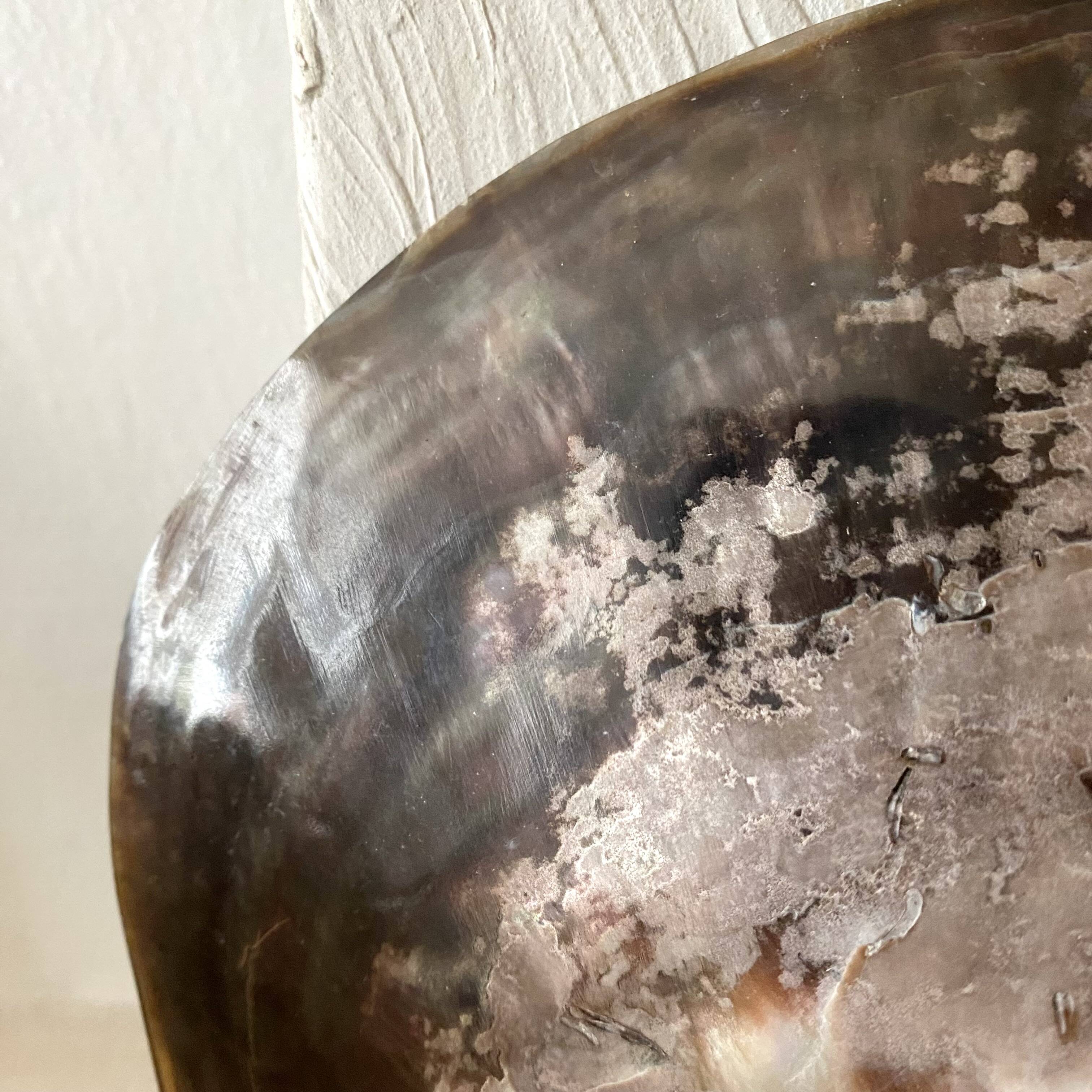 Oyster pearl catchall