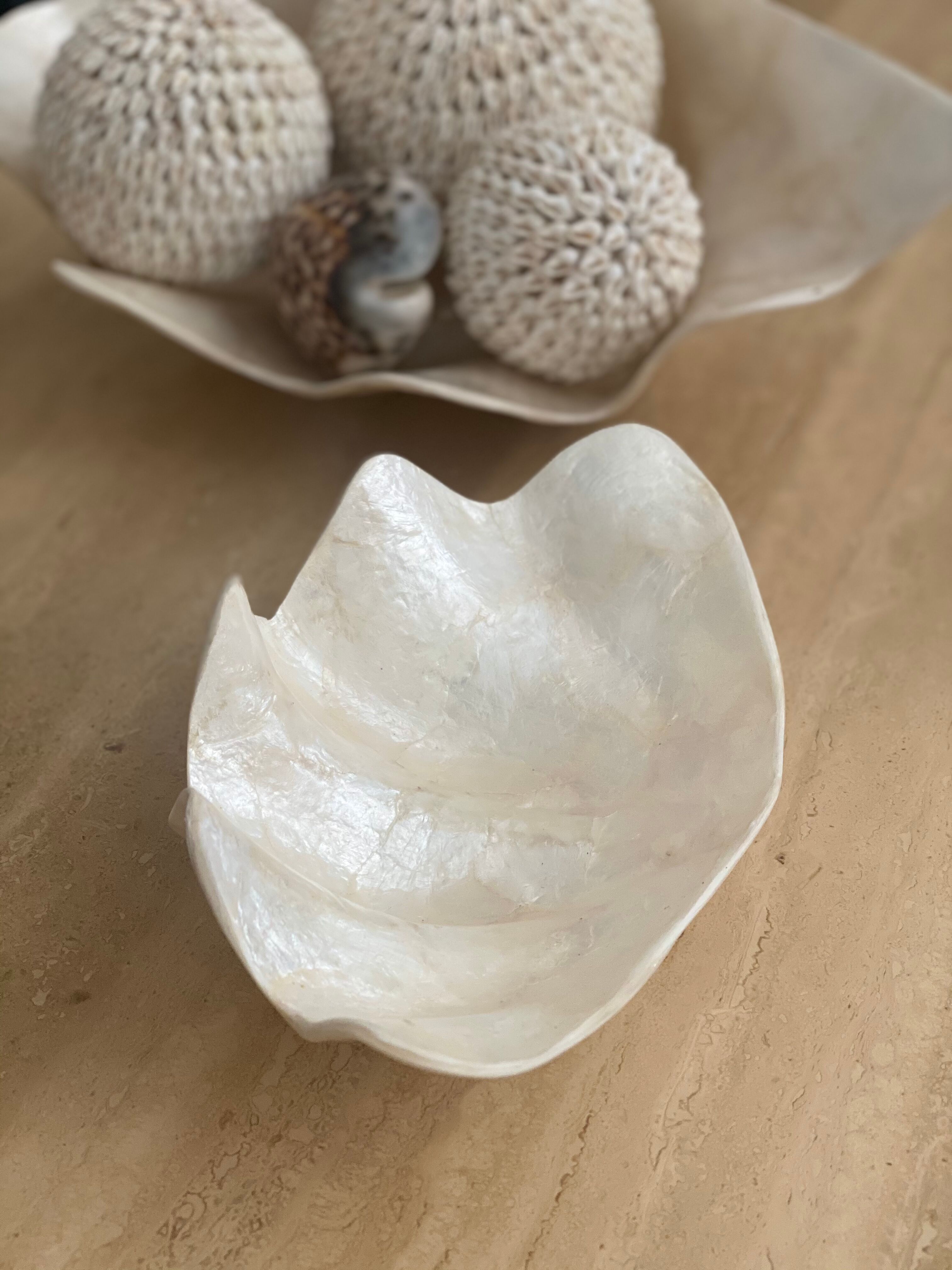 Pearly white shell benign cup