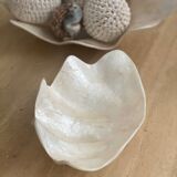 Pearly white shell benign cup