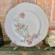 6 flat plates Baltimore Rose by Haviland Limoges