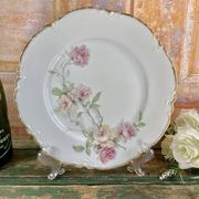 6 Assiettes plates Baltimore Rose de Haviland Limoges