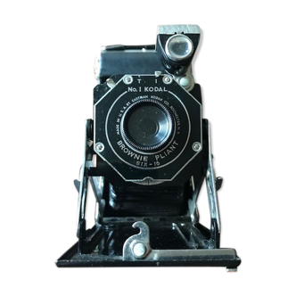 Bellows camera