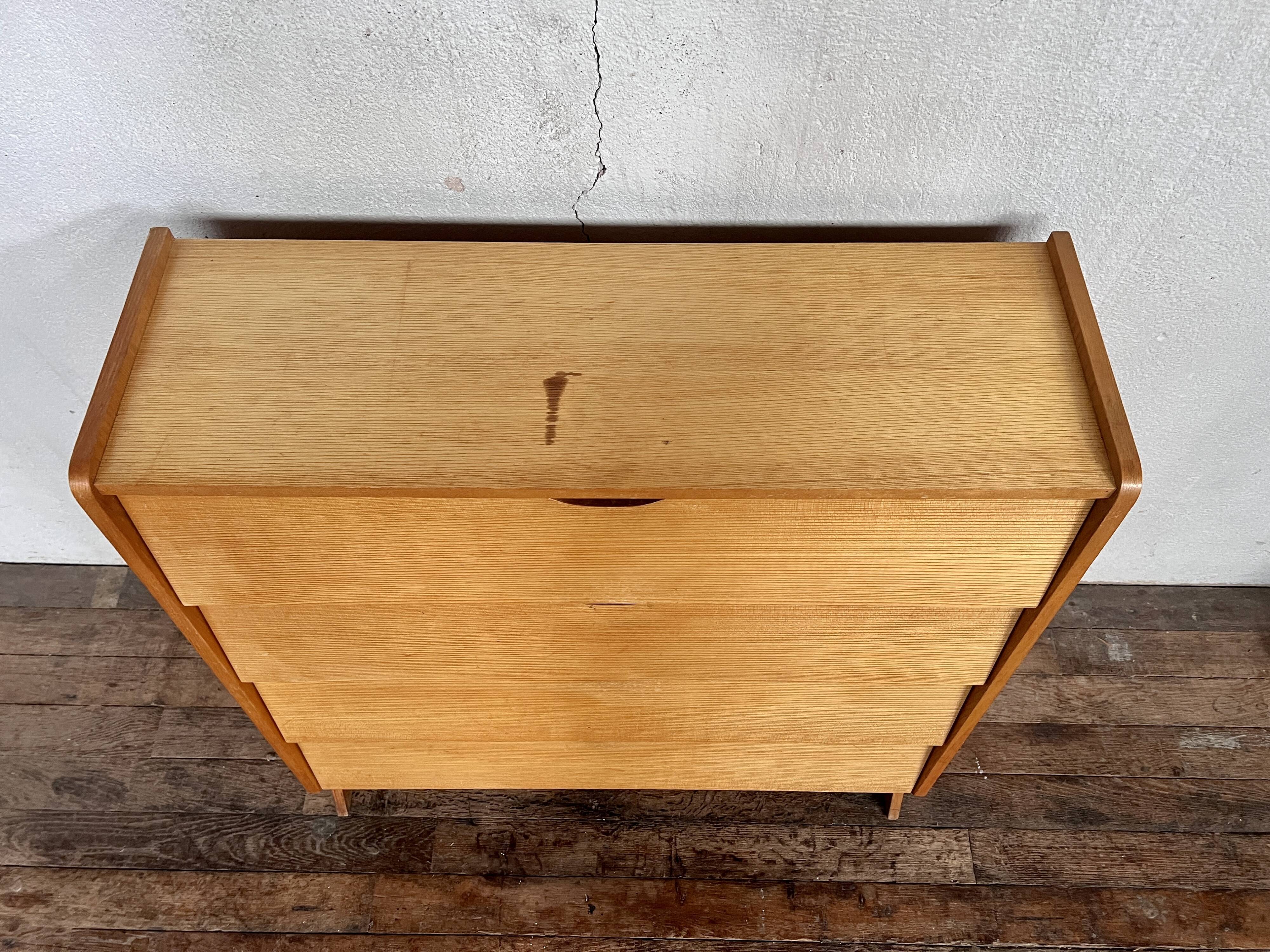 Modernist shoe cabinet 1960 in vintage ash