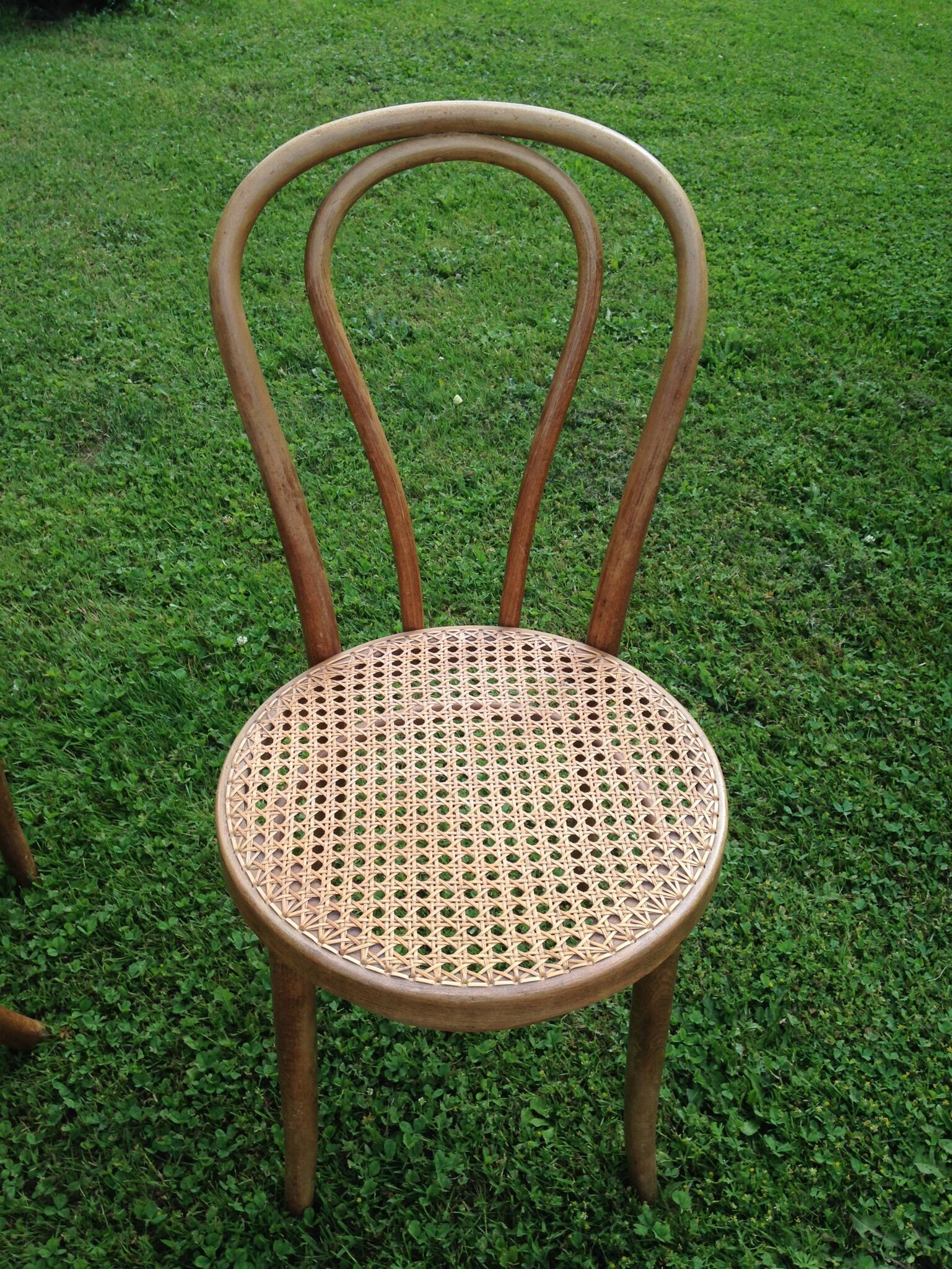 Set of 6 chairs Thonet