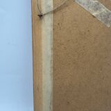 Butterflies lithograph frame