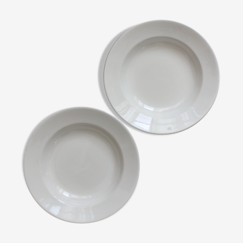 2 assiettes creuses en terre de fer blanc Digoin Sarreguemines