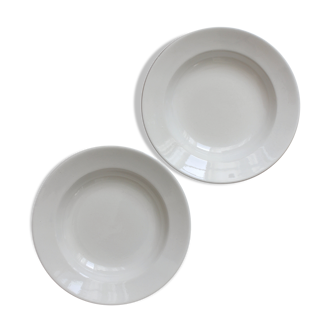 2 assiettes creuses en terre de fer blanc Digoin Sarreguemines