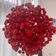 Chrysalis Floor Lamp - Ango