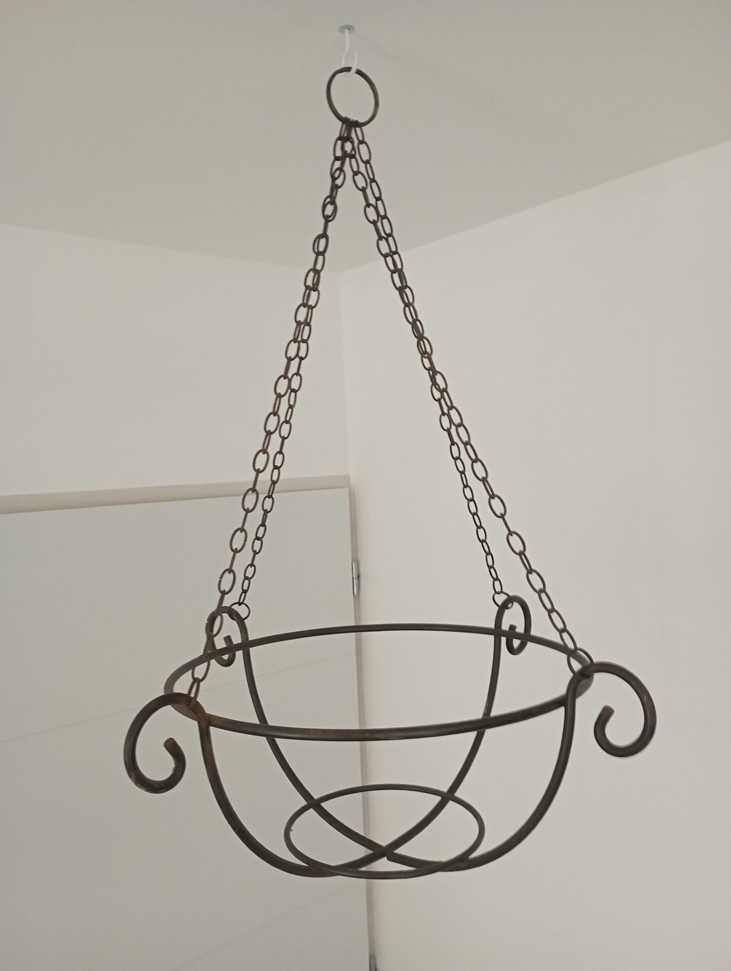 Hanging plant holder