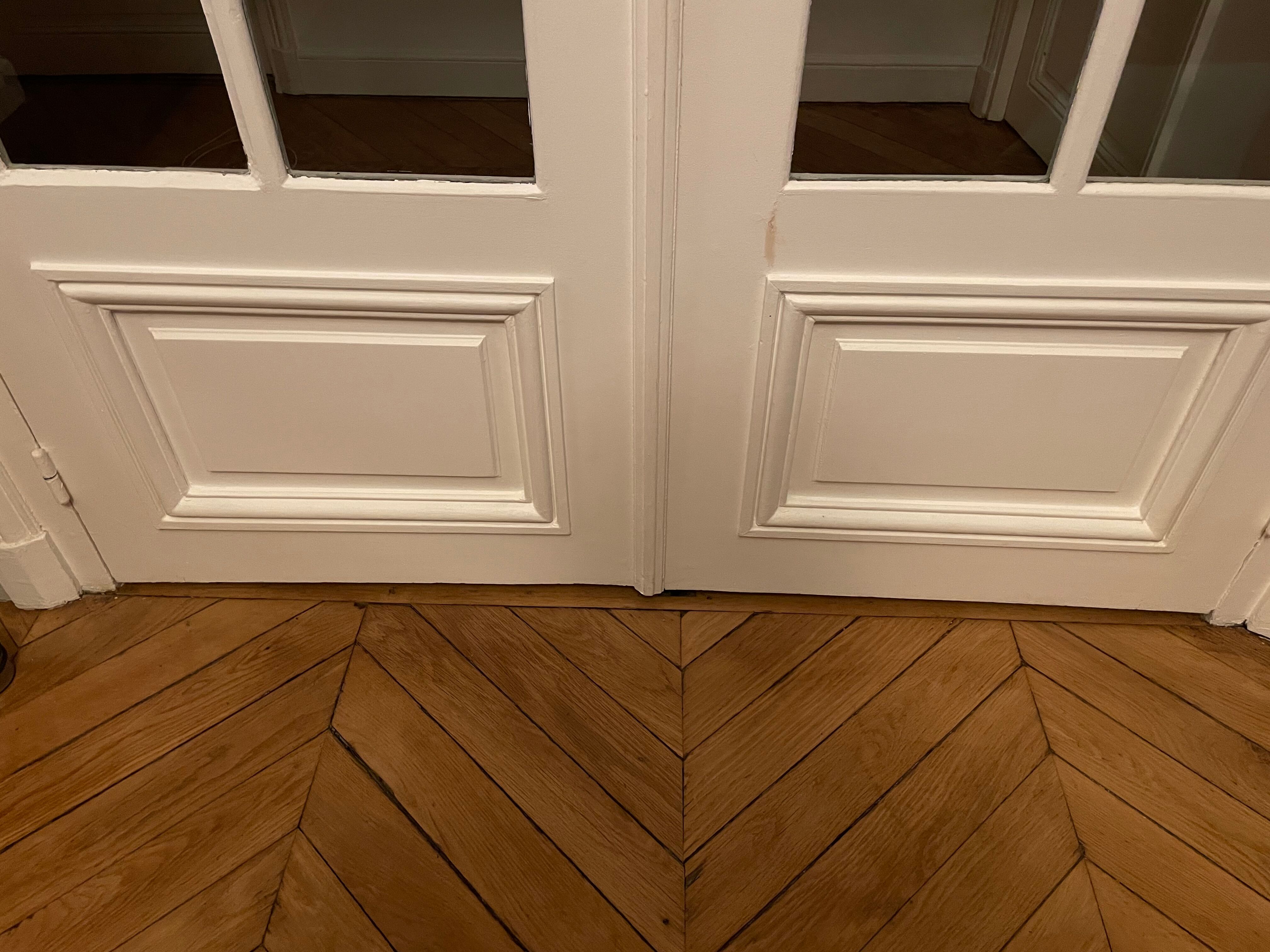 Double glass door Haussmannian apartment