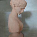 Terracotta bust of a woman