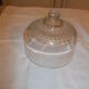 Glass dome