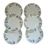 6 antique flat plates U&C Sarreguemines