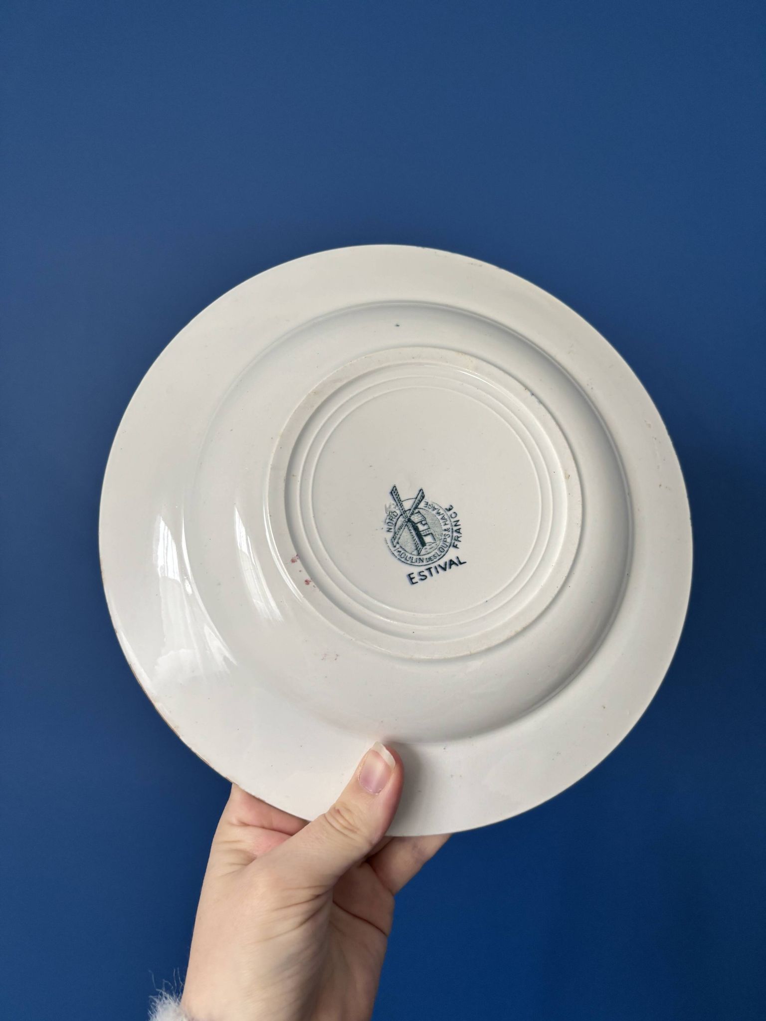 Set of 4 blue deep plates Terre de Fer Moulin des Loups summer