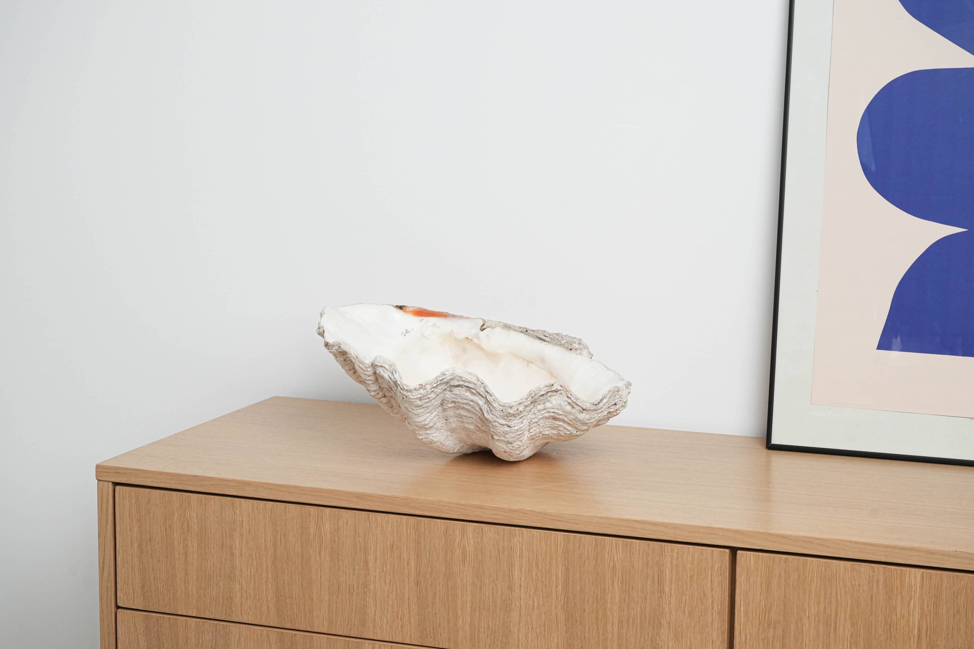 Decorative Tridacna seashell, boho style, 1980s