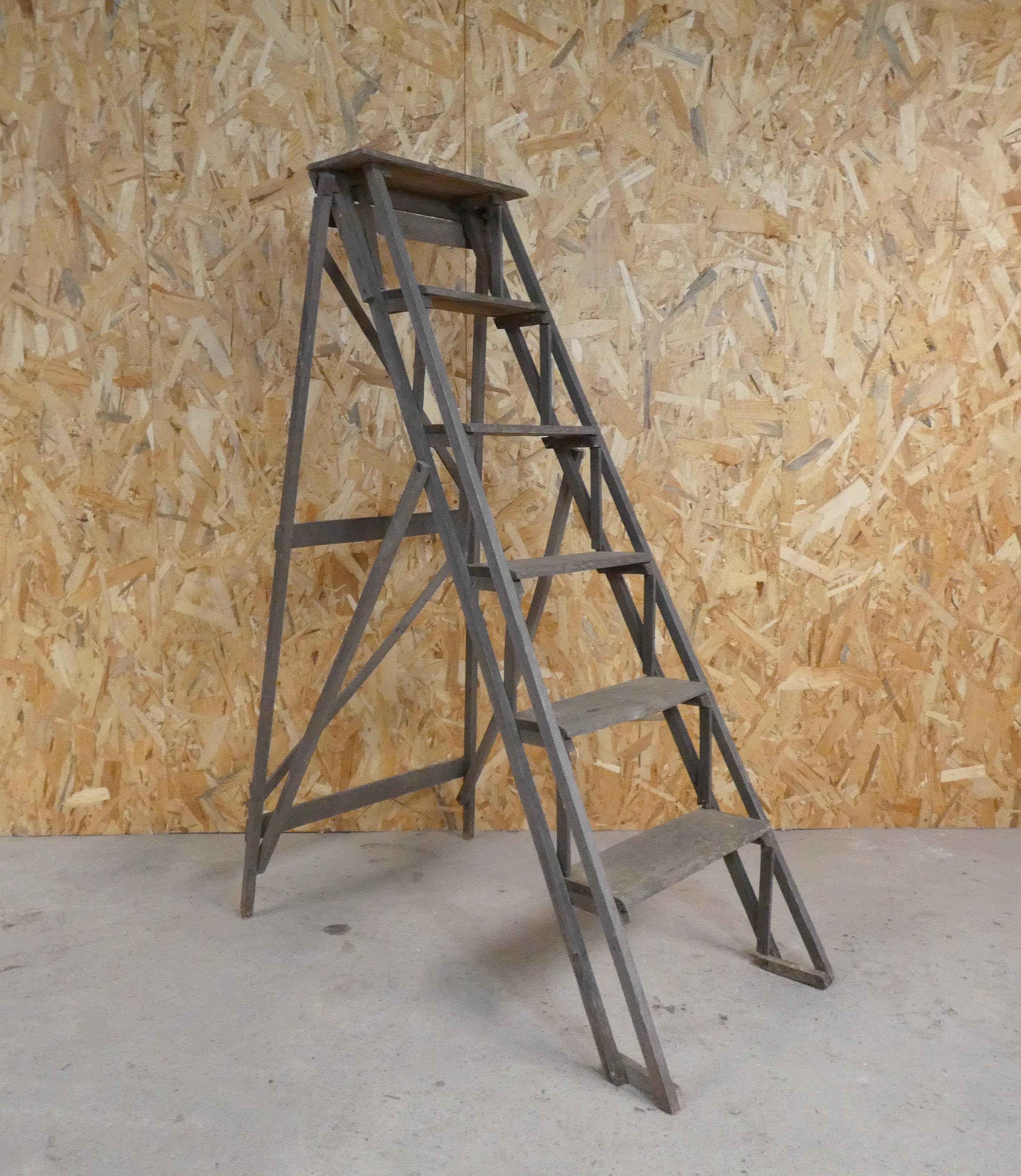 Former workshop stepladder