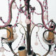 Lustre opaline rose