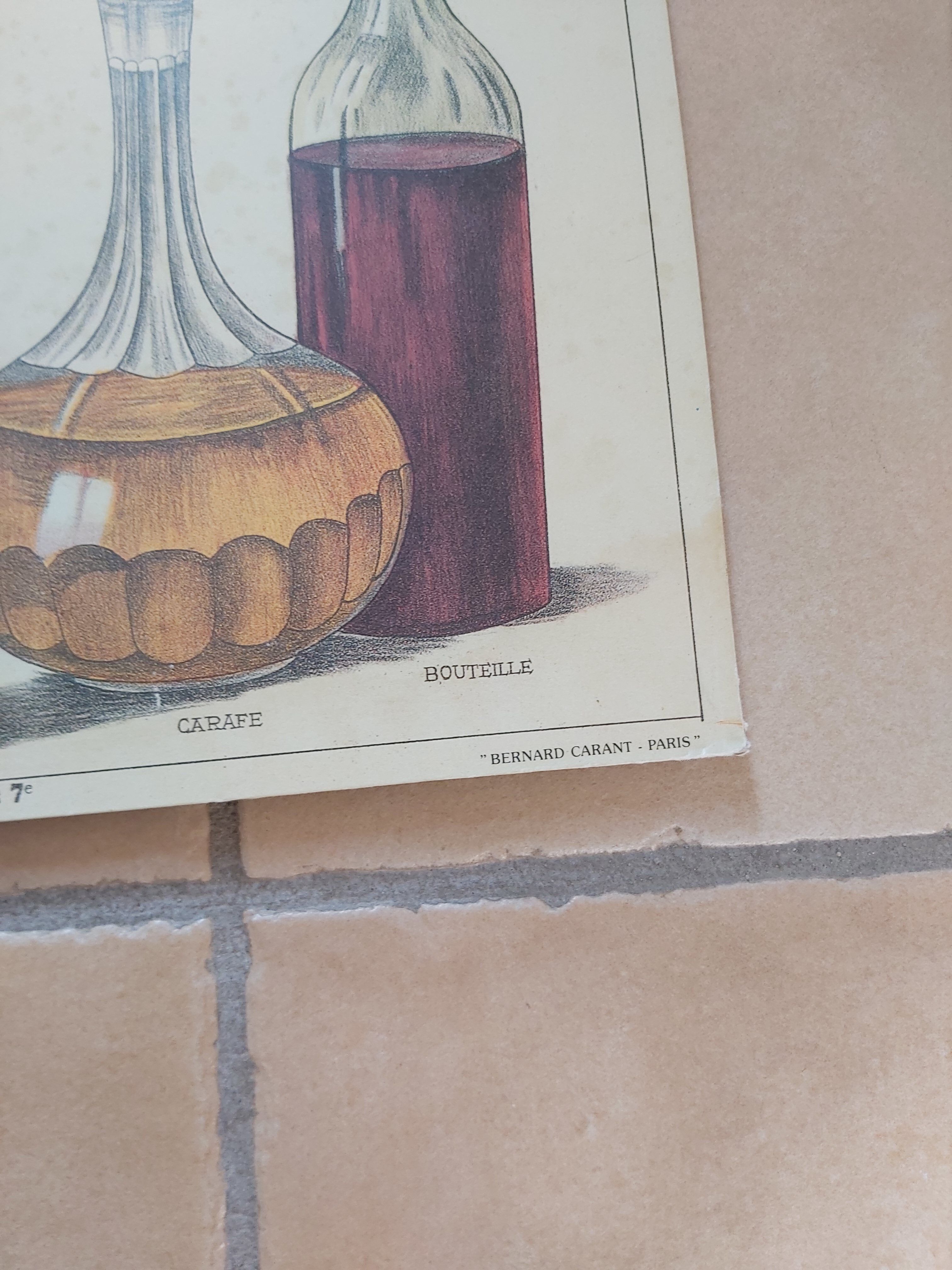 Vintage Deyrolle poster