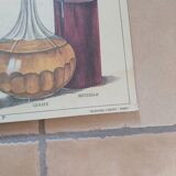 Vintage Deyrolle poster