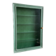 Wall display case