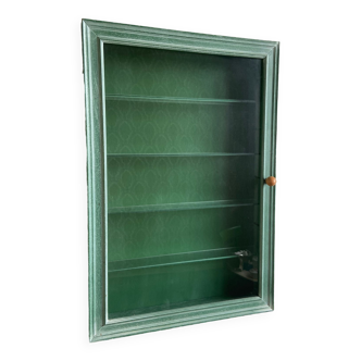 Wall display case