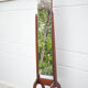 Psyche wood, mirror on wooden foot